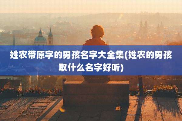 姓农带原字的男孩名字大全集(姓农的男孩取什么名字好听)