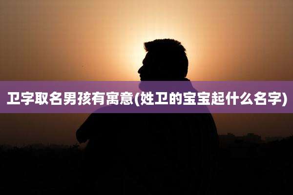 卫字取名男孩有寓意(姓卫的宝宝起什么名字)