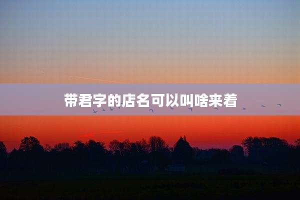 带君字的店名可以叫啥来着