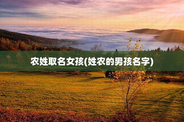农姓取名女孩(姓农的男孩名字)