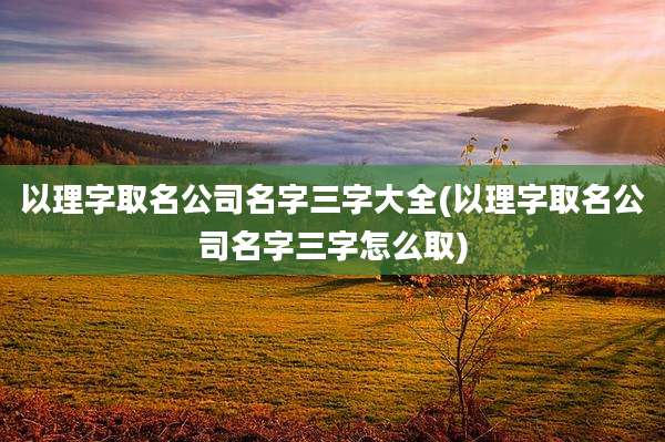 以理字取名公司名字三字大全(以理字取名公司名字三字怎么取)
