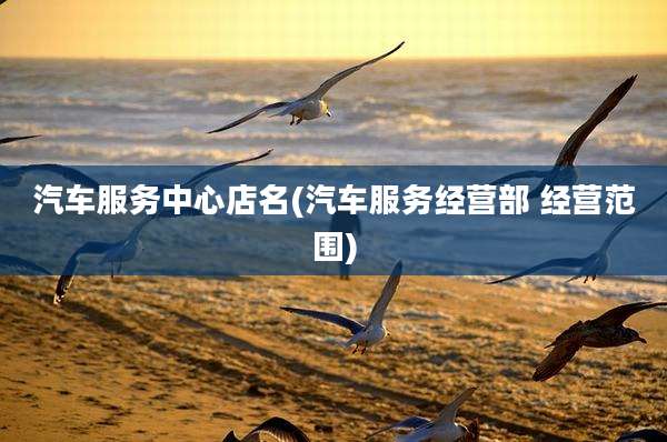 汽车服务中心店名(汽车服务经营部 经营范围)