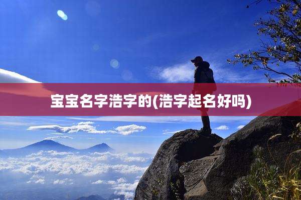 宝宝名字浩字的(浩字起名好吗)