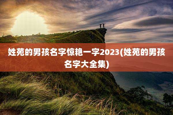 姓苑的男孩名字惊艳一字2023(姓苑的男孩名字大全集)