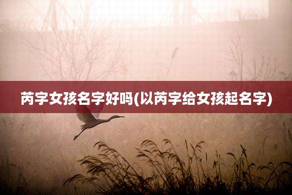 芮字女孩名字好吗(以芮字给女孩起名字)