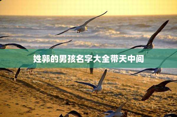 姓郭的男孩名字大全带天中间