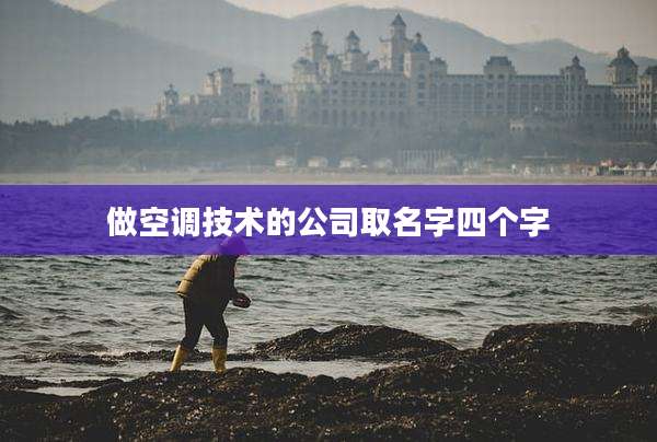 做空调技术的公司取名字四个字