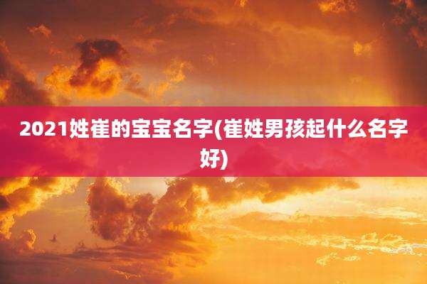 2021姓崔的宝宝名字(崔姓男孩起什么名字好)