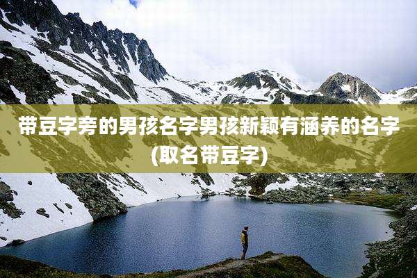 带豆字旁的男孩名字男孩新颖有涵养的名字(取名带豆字)