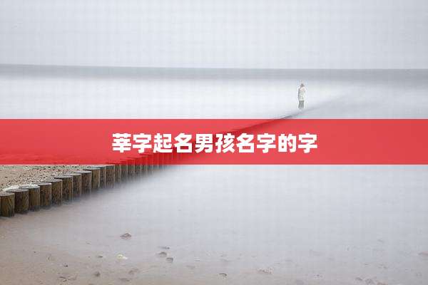 莘字起名男孩名字的字