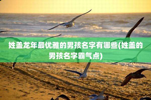 姓盖龙年最优雅的男孩名字有哪些(姓盖的男孩名字霸气点)