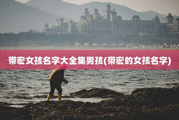 带宏女孩名字大全集男孩(带宏的女孩名字)
