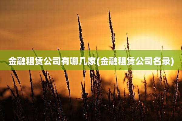 金融租赁公司有哪几家(金融租赁公司名录)
