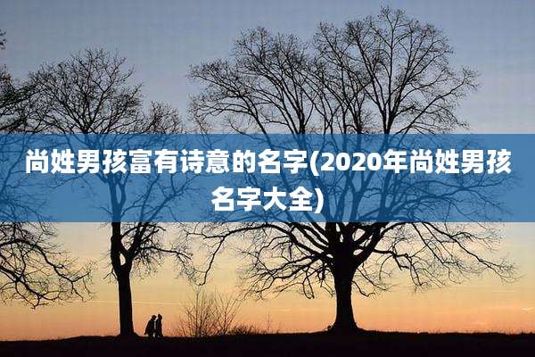 尚姓男孩富有诗意的名字(2020年尚姓男孩名字大全)