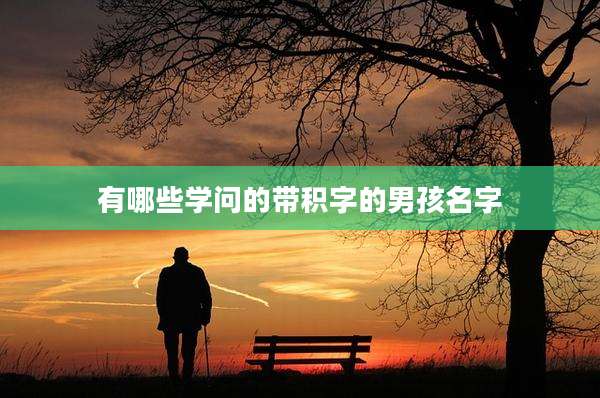 有哪些学问的带积字的男孩名字