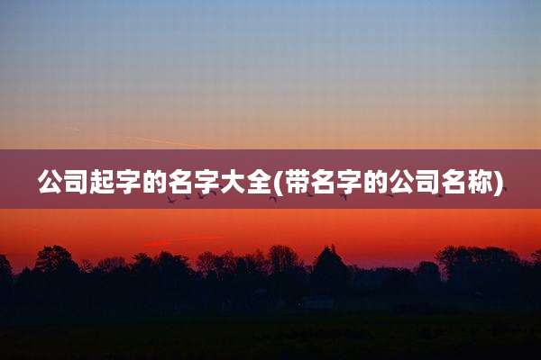 公司起字的名字大全(带名字的公司名称)