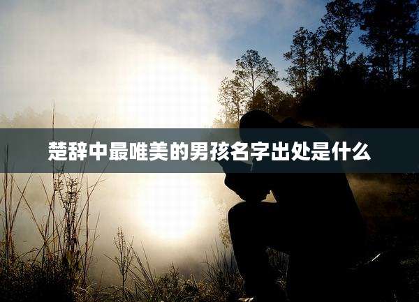楚辞中最唯美的男孩名字出处是什么