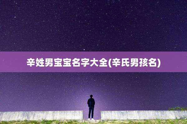 辛姓男宝宝名字大全(辛氏男孩名)