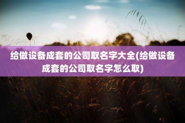 给做设备成套的公司取名字大全(给做设备成套的公司取名字怎么取)