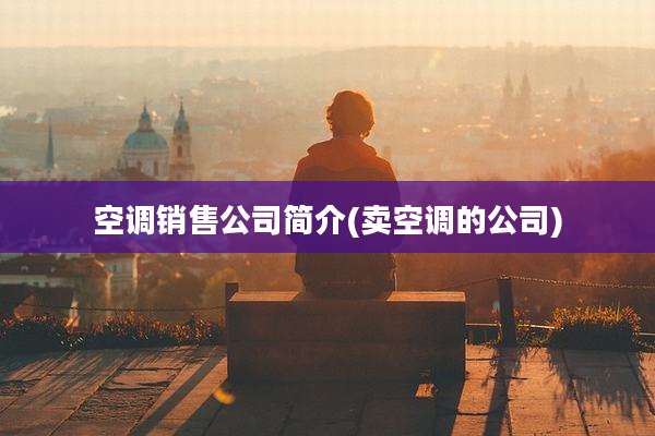 空调销售公司简介(卖空调的公司)