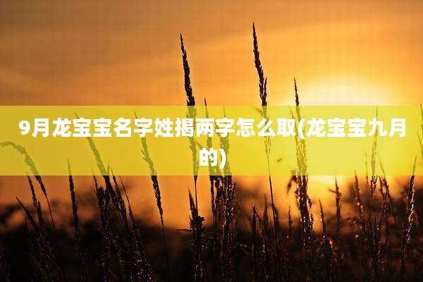 9月龙宝宝名字姓揭两字怎么取(龙宝宝九月的)