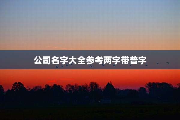 公司名字大全参考两字带普字