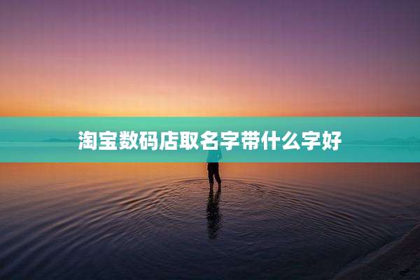 淘宝数码店取名字带什么字好