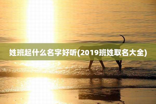 姓班起什么名字好听(2019班姓取名大全)