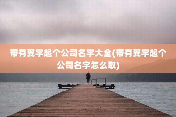 带有翼字起个公司名字大全(带有翼字起个公司名字怎么取)
