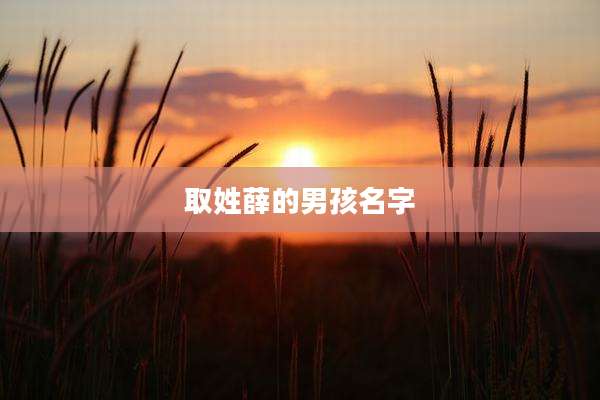 取姓薛的男孩名字