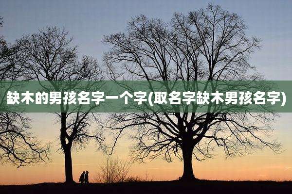 缺木的男孩名字一个字(取名字缺木男孩名字)