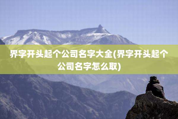 界字开头起个公司名字大全(界字开头起个公司名字怎么取)