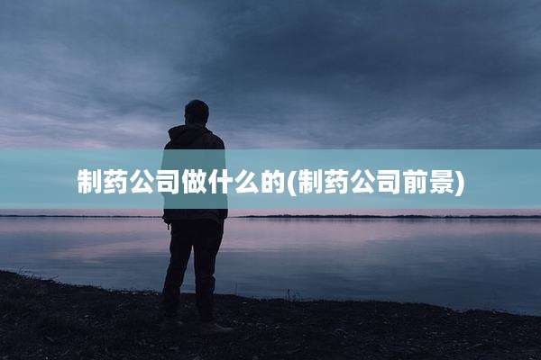制药公司做什么的(制药公司前景)