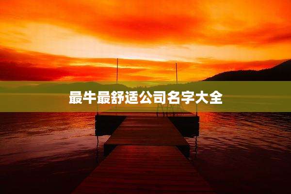 最牛最舒适公司名字大全