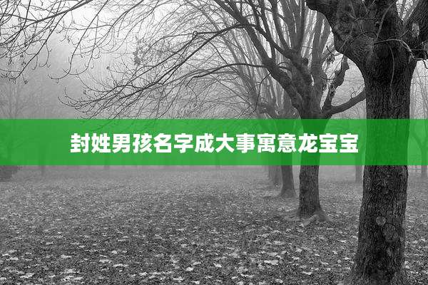 封姓男孩名字成大事寓意龙宝宝