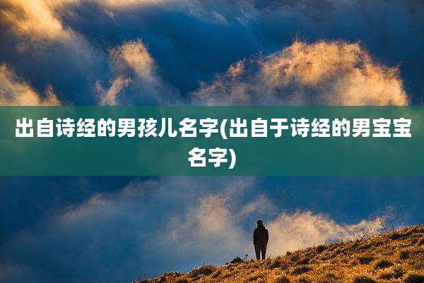 出自诗经的男孩儿名字(出自于诗经的男宝宝名字)