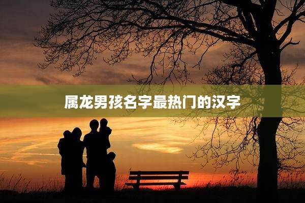 属龙男孩名字最热门的汉字