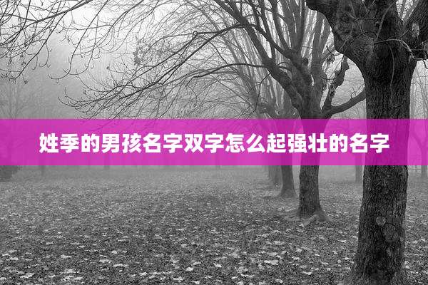 姓季的男孩名字双字怎么起强壮的名字
