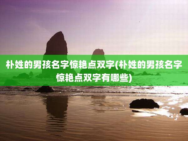 朴姓的男孩名字惊艳点双字(朴姓的男孩名字惊艳点双字有哪些)