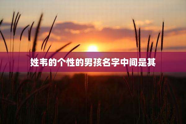 姓韦的个性的男孩名字中间是其