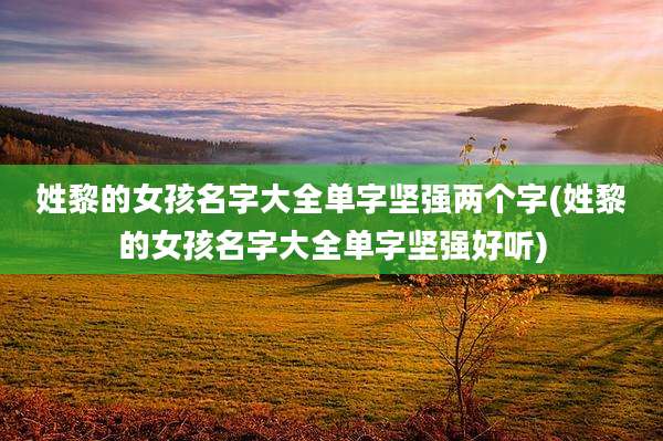 姓黎的女孩名字大全单字坚强两个字(姓黎的女孩名字大全单字坚强好听)