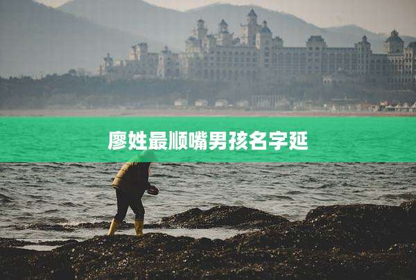 廖姓最顺嘴男孩名字延