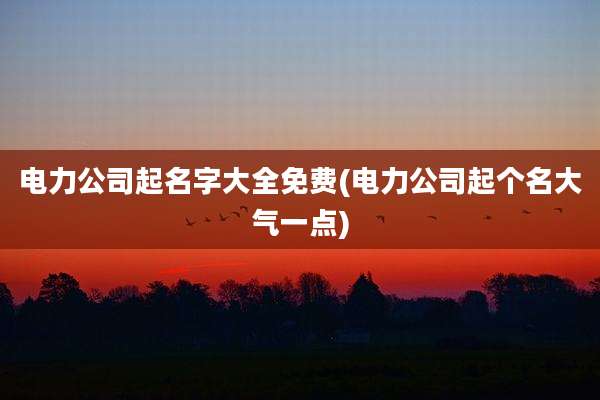 电力公司起名字大全免费(电力公司起个名大气一点)