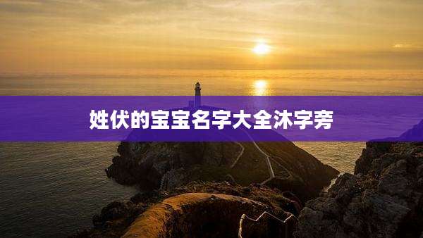 姓伏的宝宝名字大全沐字旁
