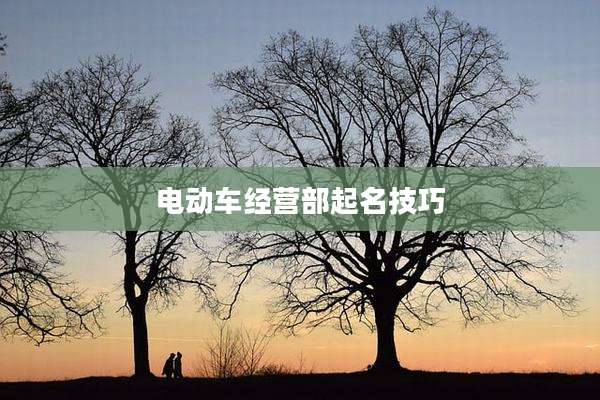 电动车经营部起名技巧
