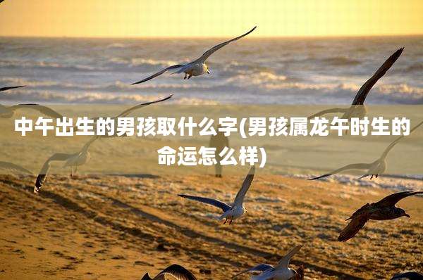 中午出生的男孩取什么字(男孩属龙午时生的命运怎么样)