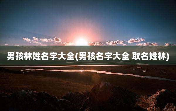 男孩林姓名字大全(男孩名字大全 取名姓林)