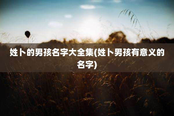 姓卜的男孩名字大全集(姓卜男孩有意义的名字)