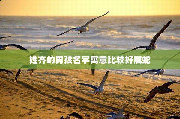 姓齐的男孩名字寓意比较好属蛇
