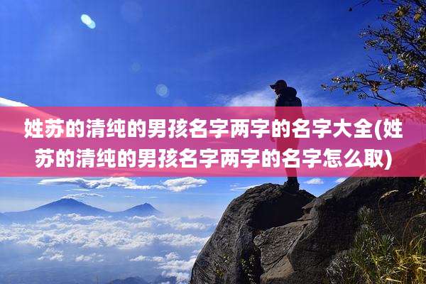 姓苏的清纯的男孩名字两字的名字大全(姓苏的清纯的男孩名字两字的名字怎么取)